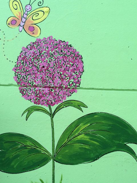 Hydrangea Mural