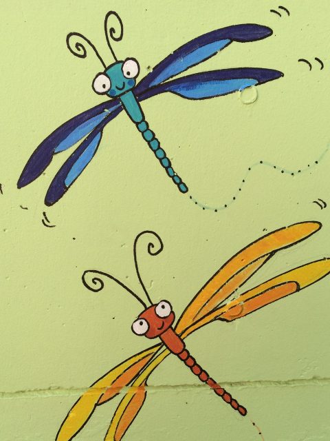 Dragon-fly Mural